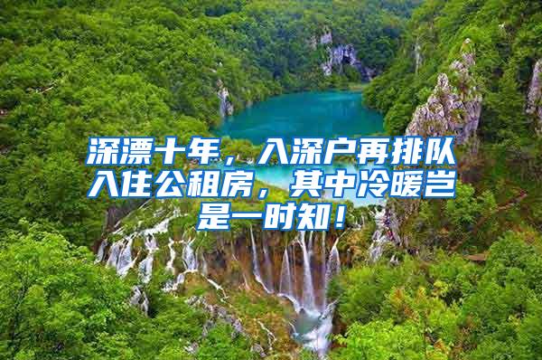 深漂十年，入深户再排队入住公租房，其中冷暖岂是一时知！