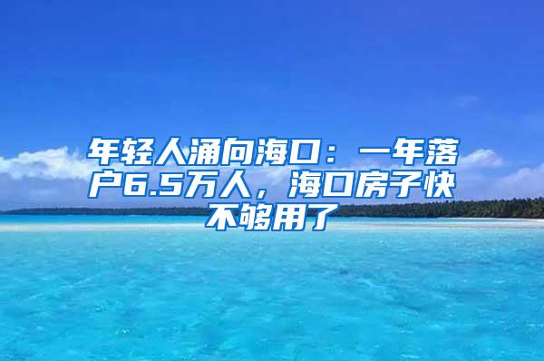 年轻人涌向海口：一年落户6.5万人，海口房子快不够用了