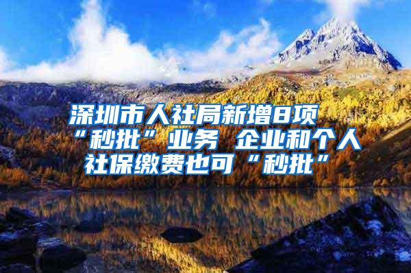 深圳市人社局新增8项“秒批”业务 企业和个人社保缴费也可“秒批”