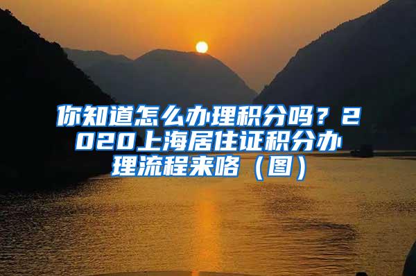 你知道怎么办理积分吗？2020上海居住证积分办理流程来咯（图）