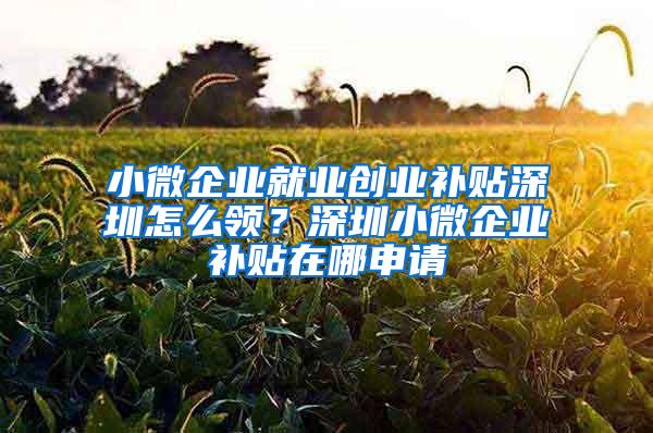 小微企业就业创业补贴深圳怎么领？深圳小微企业补贴在哪申请