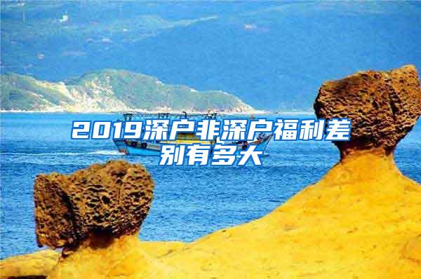 2019深户非深户福利差别有多大