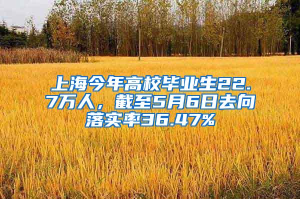 上海今年高校毕业生22.7万人，截至5月6日去向落实率36.47%