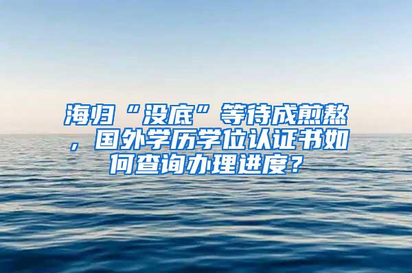 海归“没底”等待成煎熬，国外学历学位认证书如何查询办理进度？