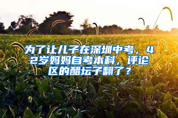 为了让儿子在深圳中考，42岁妈妈自考本科，评论区的醋坛子翻了？