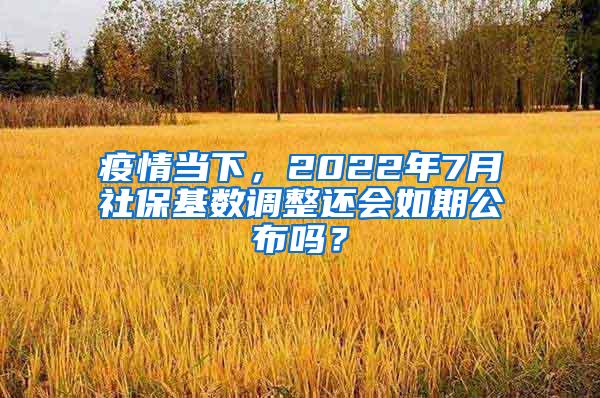 疫情当下，2022年7月社保基数调整还会如期公布吗？