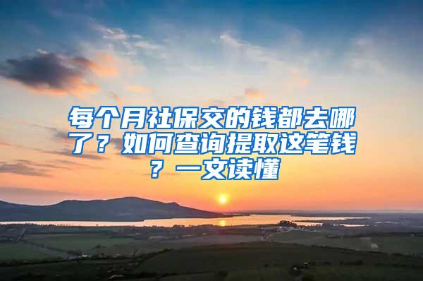 每个月社保交的钱都去哪了？如何查询提取这笔钱？一文读懂