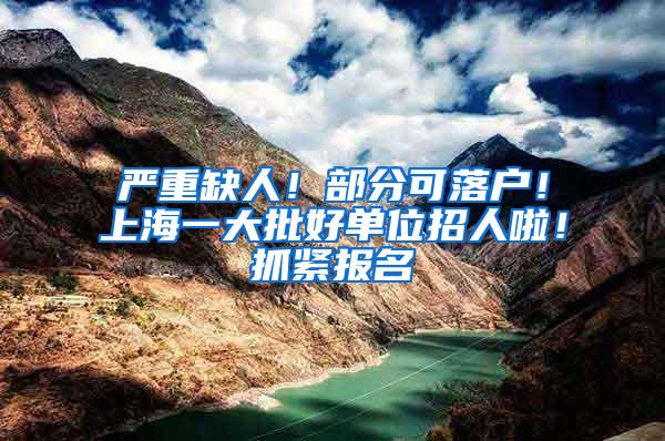 严重缺人！部分可落户！上海一大批好单位招人啦！抓紧报名