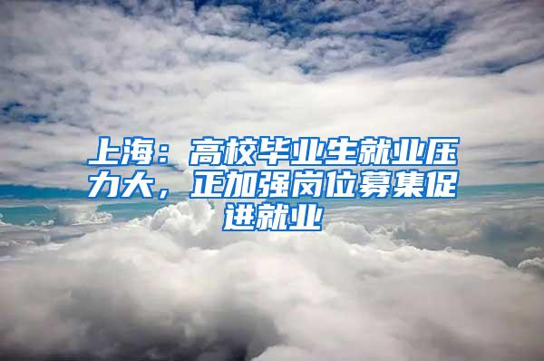 上海：高校毕业生就业压力大，正加强岗位募集促进就业