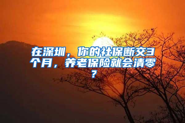 在深圳，你的社保断交3个月，养老保险就会清零？