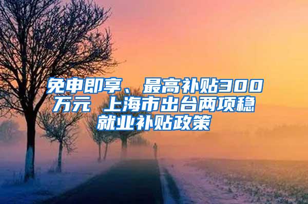 免申即享、最高补贴300万元 上海市出台两项稳就业补贴政策