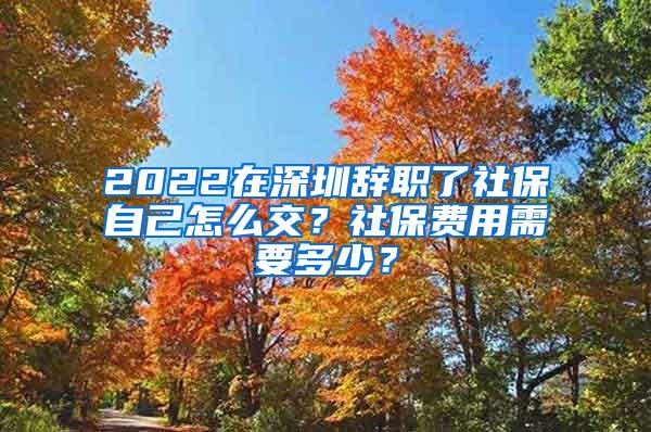 2022在深圳辞职了社保自己怎么交？社保费用需要多少？