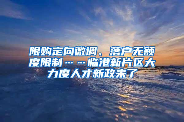 限购定向微调、落户无额度限制……临港新片区大力度人才新政来了