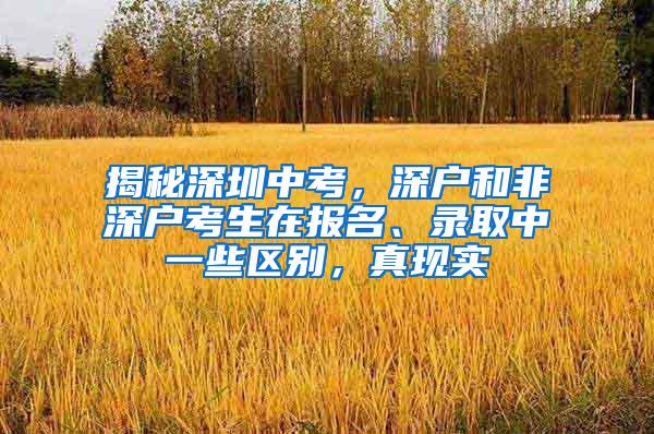 揭秘深圳中考，深户和非深户考生在报名、录取中一些区别，真现实