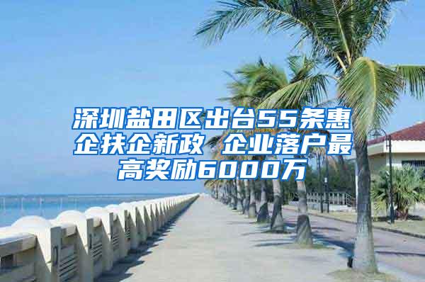 深圳盐田区出台55条惠企扶企新政 企业落户最高奖励6000万