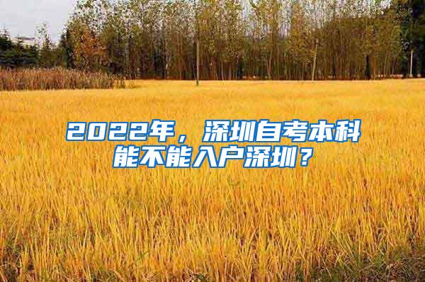 2022年，深圳自考本科能不能入户深圳？