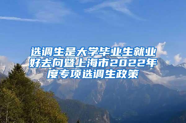 选调生是大学毕业生就业好去向暨上海市2022年度专项选调生政策