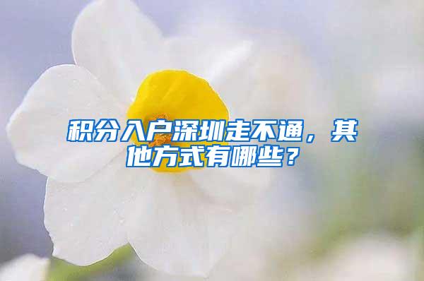 积分入户深圳走不通，其他方式有哪些？