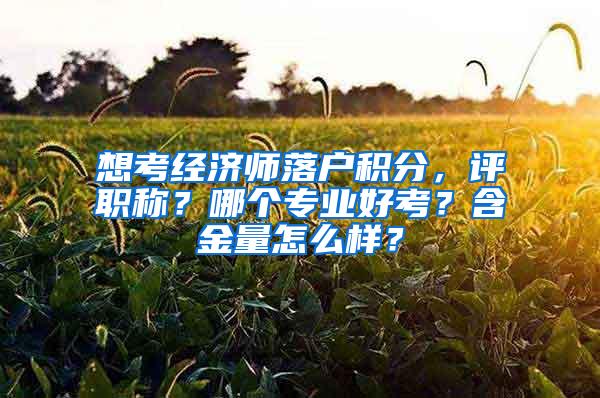 想考经济师落户积分，评职称？哪个专业好考？含金量怎么样？