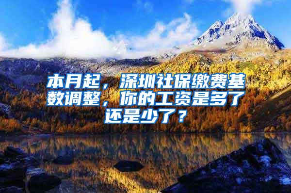 本月起，深圳社保缴费基数调整，你的工资是多了还是少了？