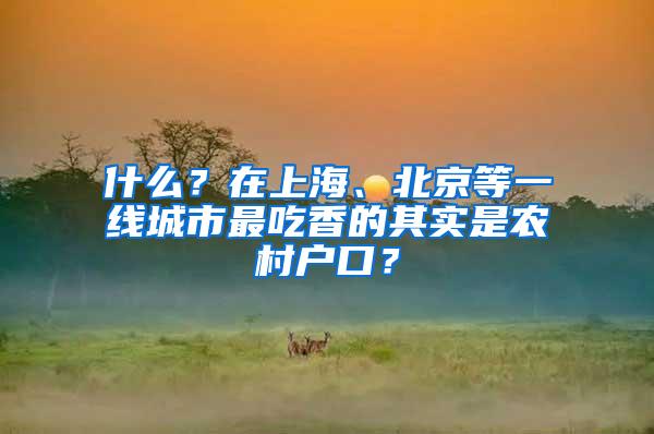 什么？在上海、北京等一线城市最吃香的其实是农村户口？