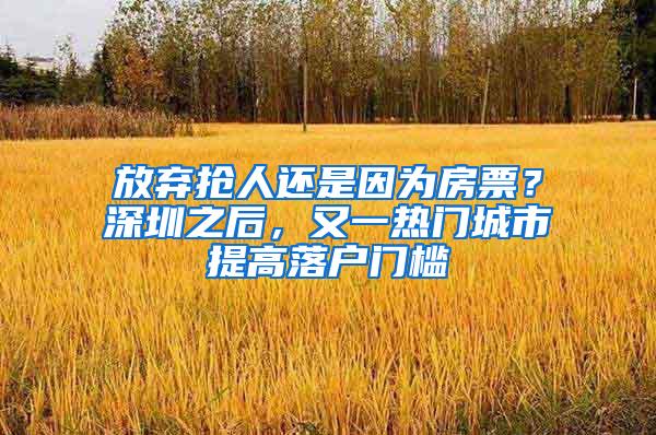 放弃抢人还是因为房票？深圳之后，又一热门城市提高落户门槛