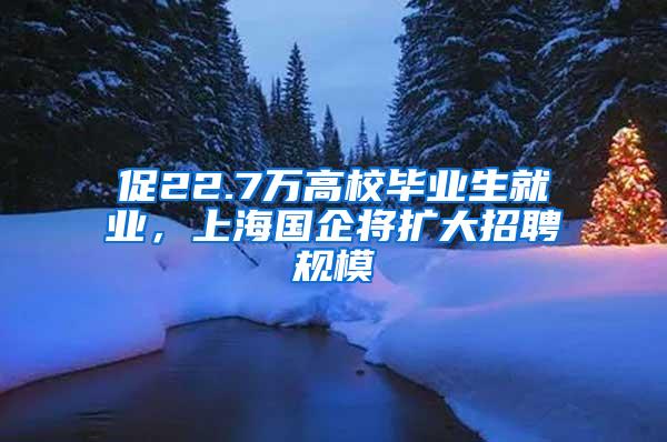 促22.7万高校毕业生就业，上海国企将扩大招聘规模