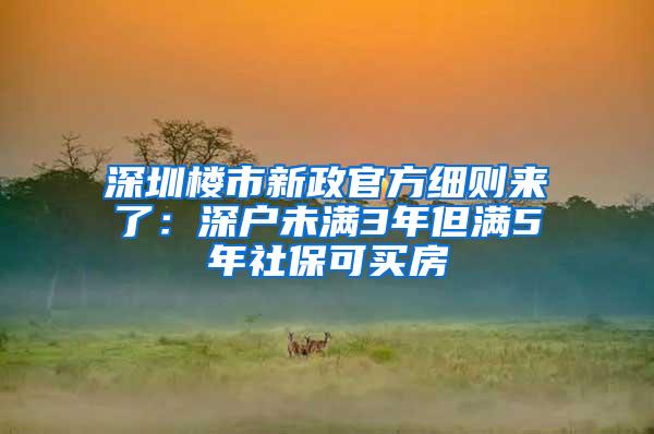 深圳楼市新政官方细则来了：深户未满3年但满5年社保可买房