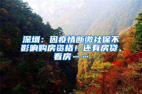 深圳：因疫情断缴社保不影响购房资格！还有房贷、看房……