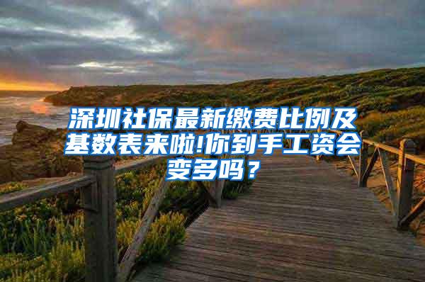 深圳社保最新缴费比例及基数表来啦!你到手工资会变多吗？