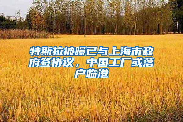 特斯拉被曝已与上海市政府签协议，中国工厂或落户临港