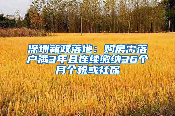 深圳新政落地：购房需落户满3年且连续缴纳36个月个税或社保