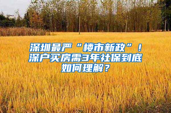 深圳最严“楼市新政”！深户买房需3年社保到底如何理解？