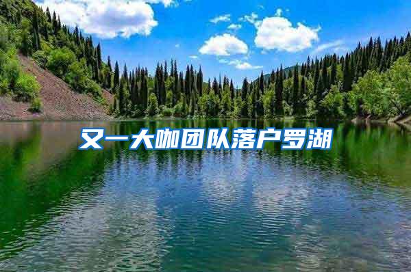 又一大咖团队落户罗湖