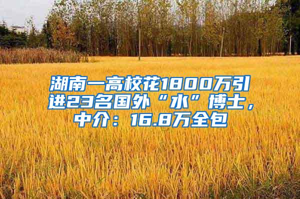 湖南一高校花1800万引进23名国外“水”博士，中介：16.8万全包