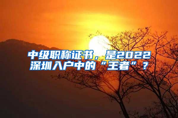 中级职称证书，是2022深圳入户中的“王者”？