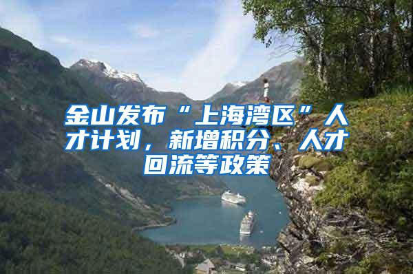 金山发布“上海湾区”人才计划，新增积分、人才回流等政策