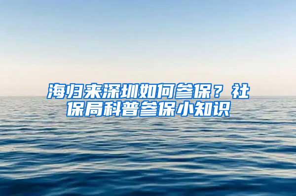 海归来深圳如何参保？社保局科普参保小知识