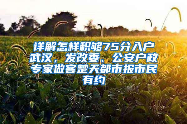 详解怎样积够75分入户武汉，发改委、公安户政专家做客楚天都市报市民有约