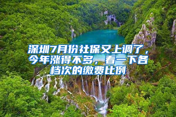 深圳7月份社保又上调了，今年涨得不多，看一下各档次的缴费比例