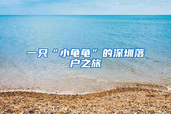 一只“小龟龟”的深圳落户之旅