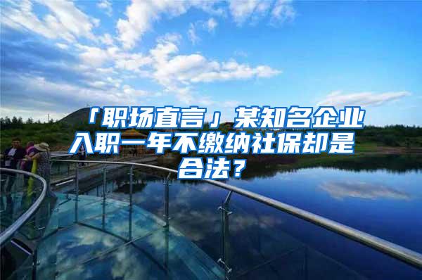 「职场直言」某知名企业入职一年不缴纳社保却是合法？