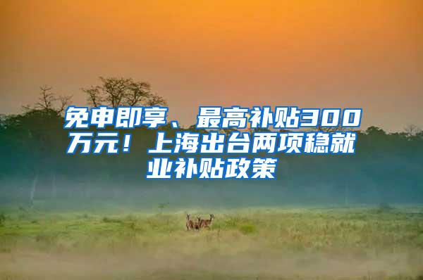 免申即享、最高补贴300万元！上海出台两项稳就业补贴政策