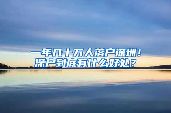 一年几十万人落户深圳！深户到底有什么好处？