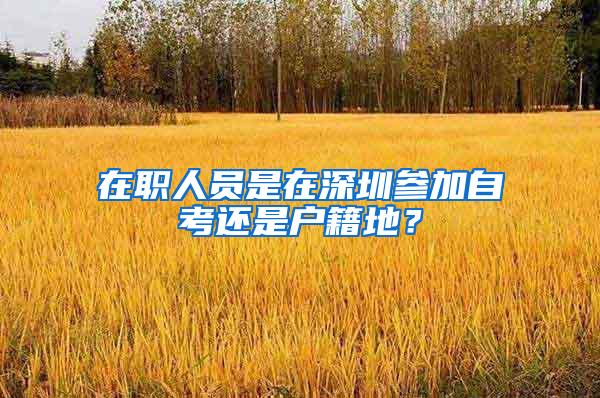 在职人员是在深圳参加自考还是户籍地？