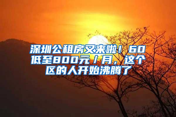 深圳公租房又来啦！60㎡低至800元／月，这个区的人开始沸腾了