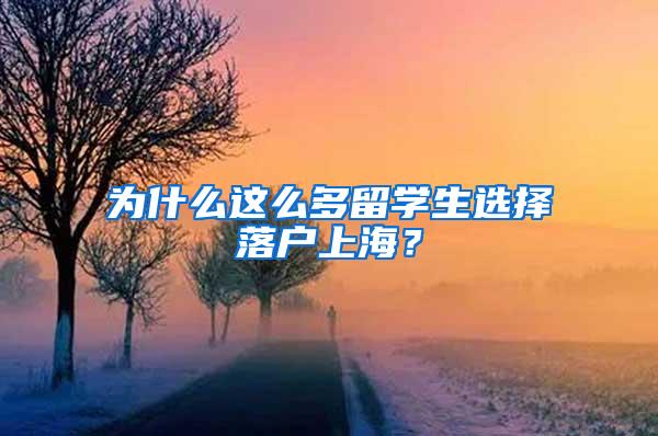 为什么这么多留学生选择落户上海？