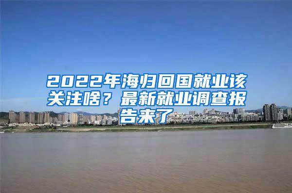 2022年海归回国就业该关注啥？最新就业调查报告来了