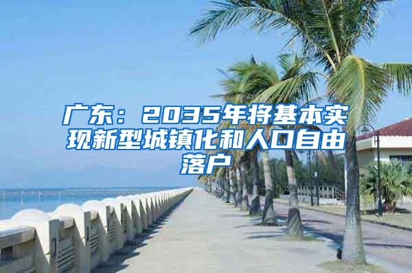 广东：2035年将基本实现新型城镇化和人口自由落户