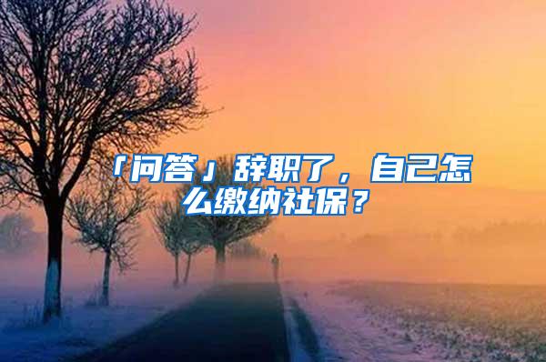 「问答」辞职了，自己怎么缴纳社保？